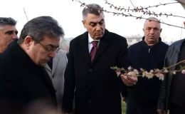 Mersin’de Zirai Don İncelemesi