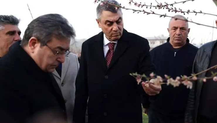 Mersin’de Zirai Don İncelemesi