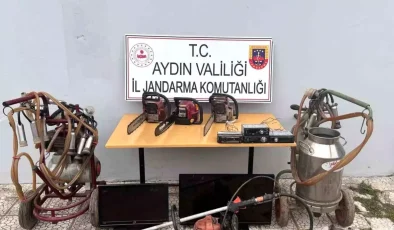 Aydın’da Hırsızlık Şebekesi Çözüldü