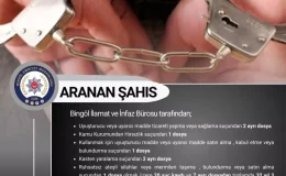 Bingöl’de 20 Suç Kayıtlı Zanlı Yakalandı