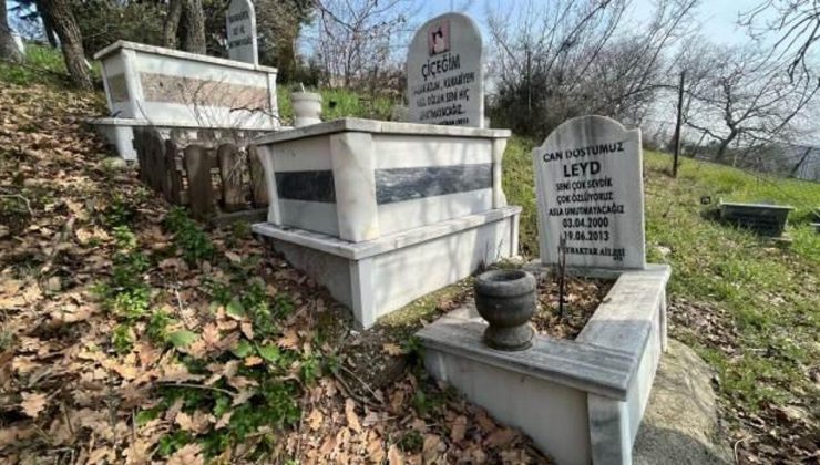 Evcil hayvanlar için 2 bin 500 liraya özel mezar yeri!