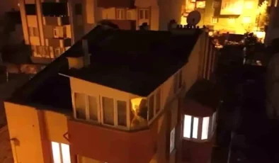 FETÖ Operasyonunda İki Şüpheli Yakalandı