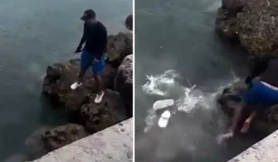 Fotoğraf çekerken köpek balığının üzerine düşen balıkçı ölümden kıl payı kurtuldu