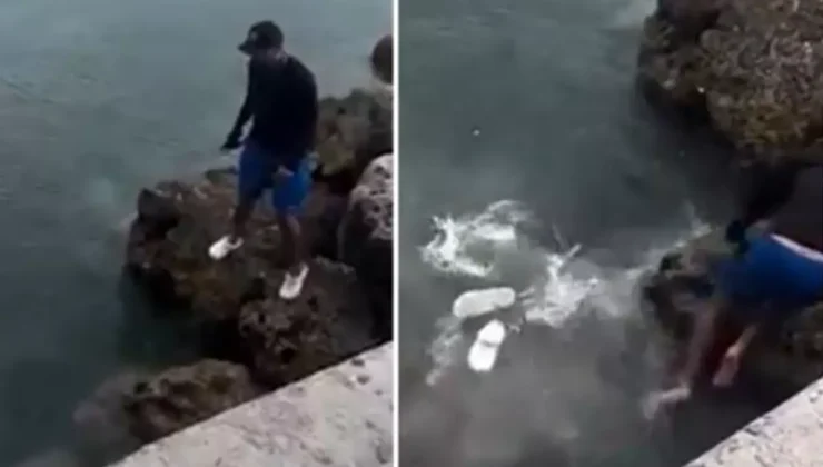 Fotoğraf çekerken köpek balığının üzerine düşen balıkçı ölümden kıl payı kurtuldu