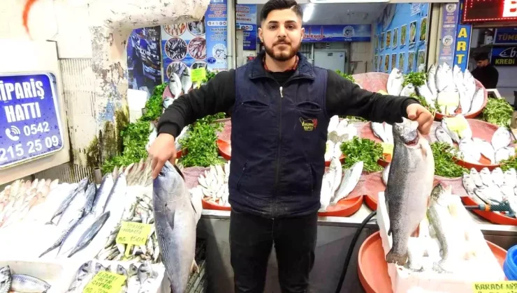 Gaziantep’te Ramazan Öncesi Balık Çeşitliliği Arttı