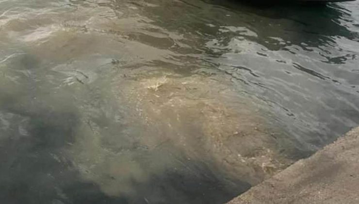 İSKİ’den atık su skandalı! İstanbul resmen can çekişiyor