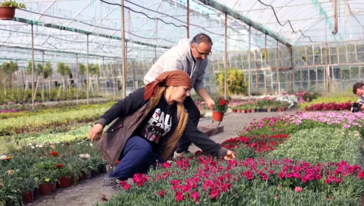 Muğla’nın Süs Bitkisi Üretim Projesi 10 Yıldır Başarıyla Sürdürülüyor