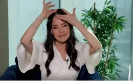 Nursel Ergin kanser mi, Nursel Ergin ne kanseri?
