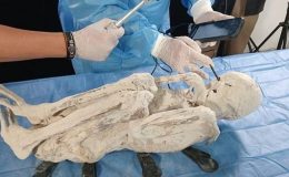 Peru’da bulunmuşlardı! Uzaylı mumyaların yüzde 100 gerçek olduğu iddia edildi!