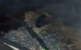 Suruç’ta Ahır Yangını Sırasında Hayvanlar Kurtarıldı