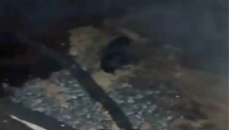 Suruç’ta Ahır Yangını Sırasında Hayvanlar Kurtarıldı