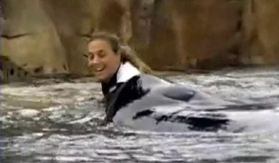 Vahşi balina, kadın eğitmeni kafasını kopararak öldürdü