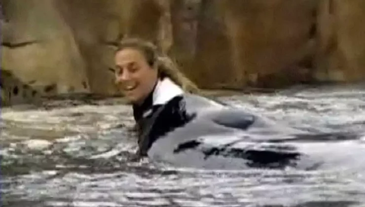 Vahşi balina, kadın eğitmeni kafasını kopararak öldürdü
