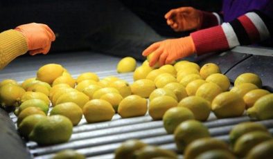 Yiyeceklerin tatları dijitalleştirildi! Sanal gerçeklik dünyasında artık mümkün olacak…