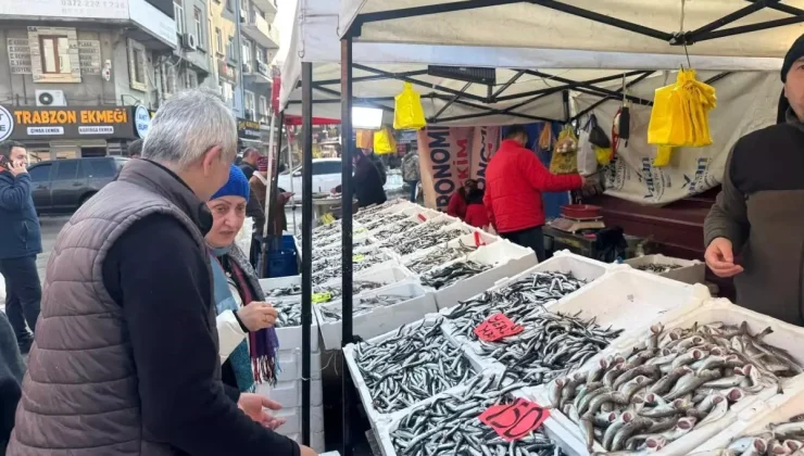Zonguldak’ta Hamsi Fiyatlarında Düşüş